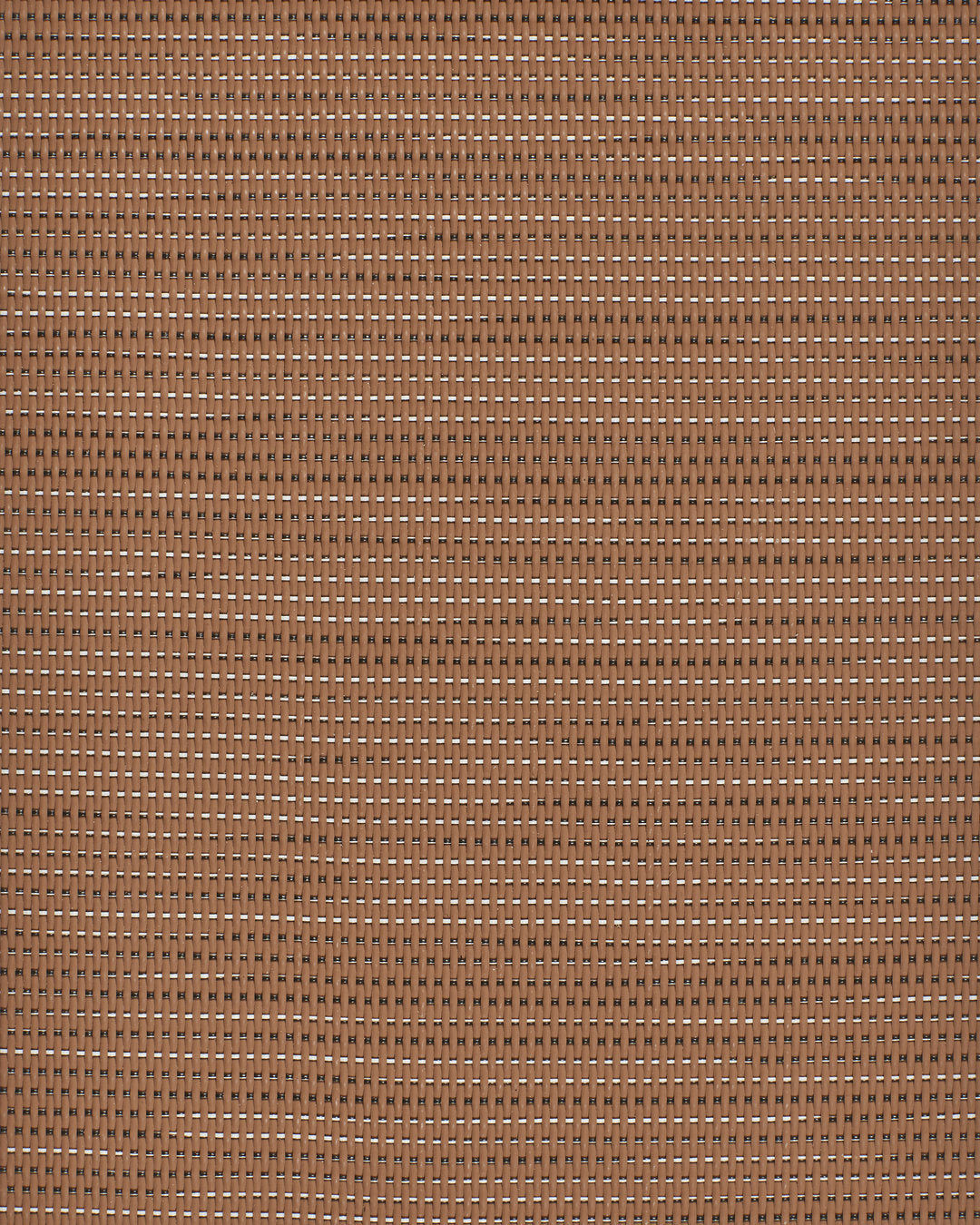 Graphic Modelo Tan – muestra de color